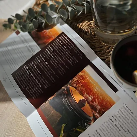 Apartmán Kairos - Tower Premium - Parking, Silownia, Sauna, Scisle Centrum Katovice